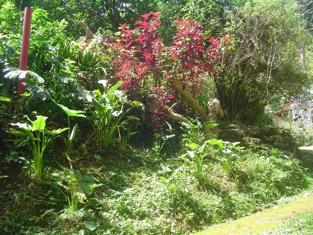 Casa Dell Angelo Apartamentos Visconde de Mauá Extérieur photo